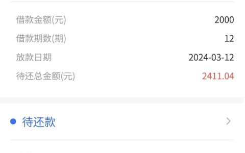 汉辰京粒贷有额度申请不下，今天突然成功8000元