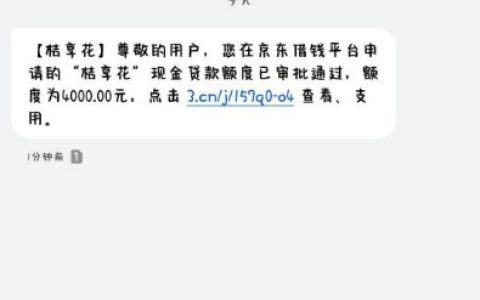 京东借钱匹配到桔享花给了4000额度，申请到账十五分钟左右