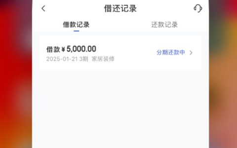 宜口袋成功到账5000元，宜口袋放款中稳不稳？