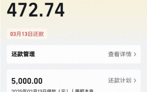 飞猪旅行借款成功！征信差也有希望？