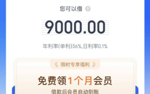 爱奇艺小芽贷匹配盛银消费金融，下款稳不稳？