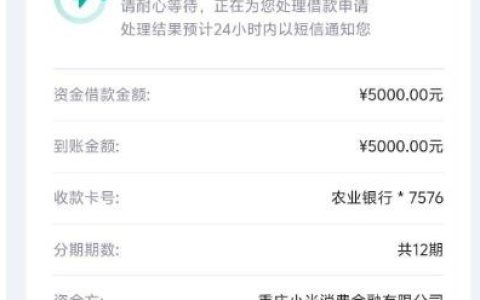 洋钱罐复借成功！这次他是这么做的