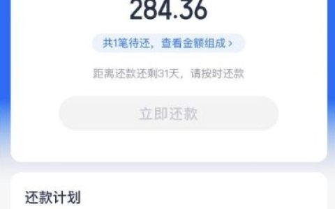 多次申请无果后，安逸花竟秒下 3000 元！