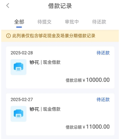 海尔消费金融够花与够享借能同时下款吗？一文读懂！