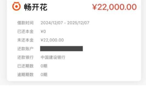 畅开花出额度就稳了？循环复借又是什么情况？