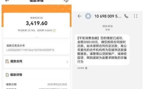 征信有逾期还能秒下款？平安消费金融太给力！