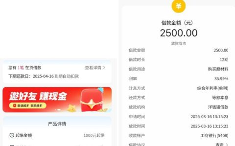 快手借钱匹配到账洋钱罐，成功到账2500元
