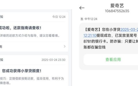 爱奇艺里面的借钱“小芽贷”出额度成功到账