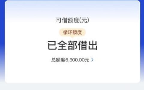 海尔消费金融“够花”申请借款成功下款6300元