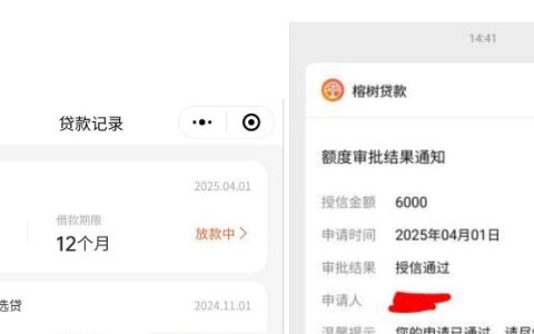 榕树贷款匹配到“节俭花”成功到账6000元，榕树贷款好通过吗？