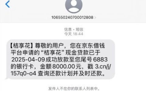 京东借钱匹配 “桔享花” 还了几期后再次复借成功。