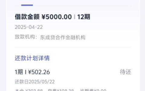 乐享借匹配东成贷：五千额度成功下款，申请有门道！