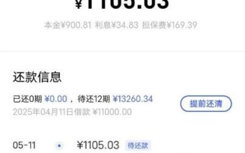vivo 钱包匹配甜橙借钱：下款快但利息不低