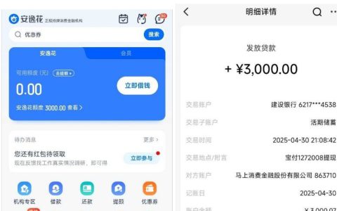 安逸花三千额度成功下款，过程超顺利！