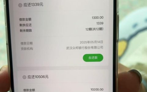 省呗下 款11500元，借无可借了，它还下款了