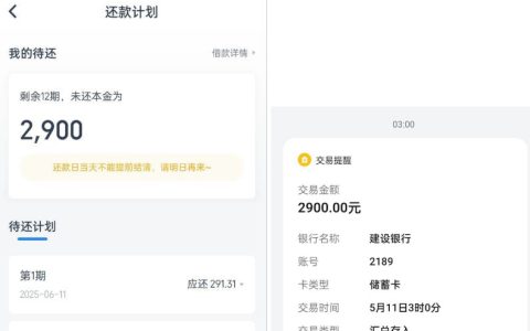 小芽贷复借成功到账！提升额度后申请两千九下款经历分享