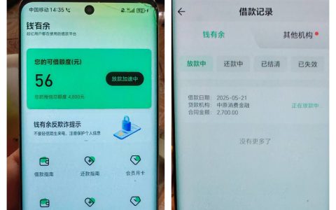 钱有余借款申请实测：宜享花同系列口子下款 1000 元救急案例