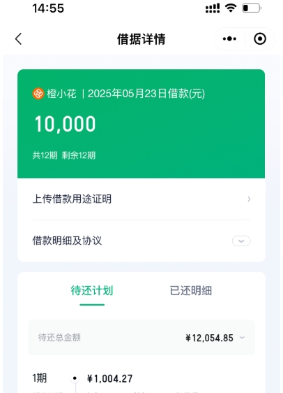 滴滴橙小花借款实测：征信花无逾期秒下 1 万元，利息详情与申请反馈