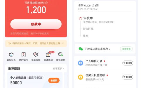 好分期下款经历：征信半黑用户忍了一个月终获 1200 元，7 分钟到账