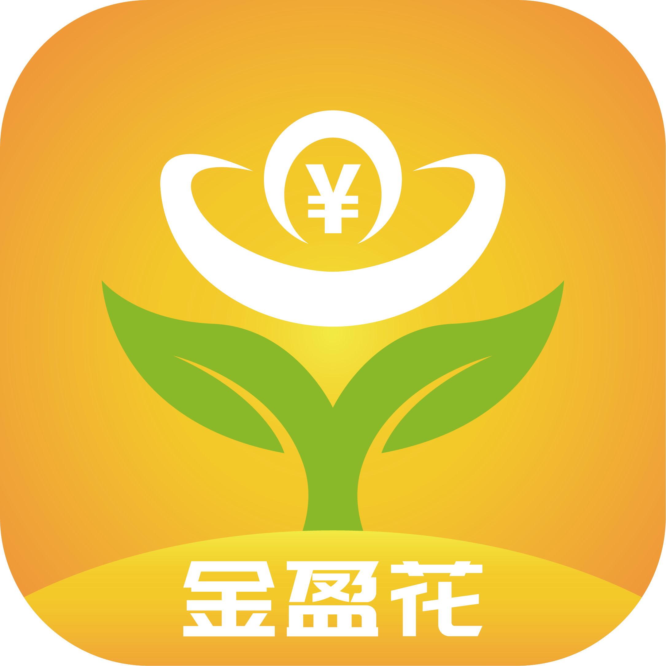 金盈花