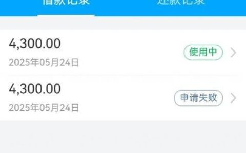 饿了么申请借款下款 4300 元：重庆携程小贷放款，几分钟到账