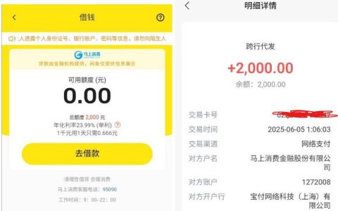 闲鱼上线借款功能：匹配马上金融下款 2000 元，几分钟到账
