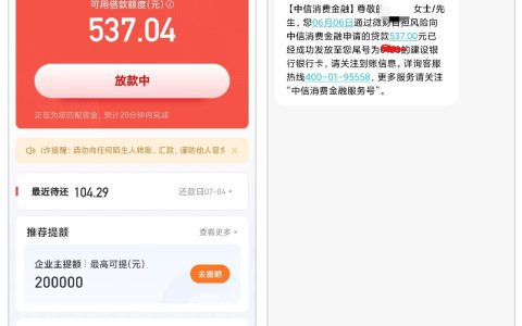 好分期复借成功经历：征信花查询多，第三次尝试终下款