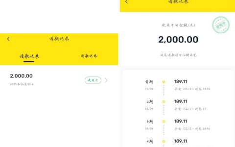 闲鱼匹配马上金融下款 2000 元！秒到账太意外，安逸花失败这里却成功了