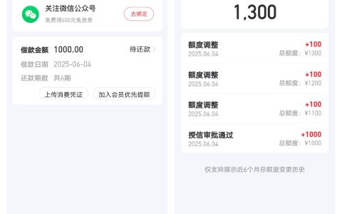 好分期注销再注册下款经历分享，额度 1000 元到账