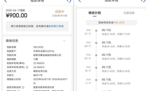 信用卡和安逸花都逾期了，我竟然申请下了招联金融 900 额度