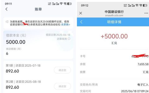 轻花优品申请 5000 元下款经验：点击拼好物秒过审核到账