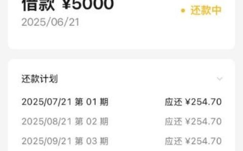 微粒贷突然提额 5000 元！申请秒到账的经历分享