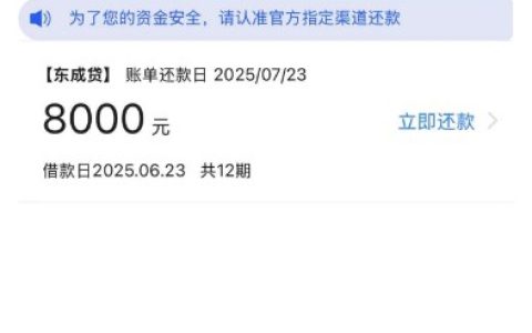 ​​东成贷申请体验分享：额度与放款速度解析​​