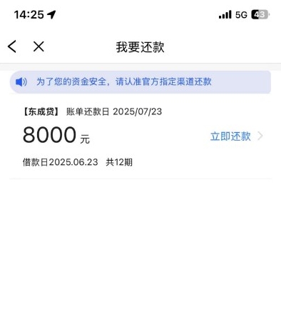 ​​东成贷申请体验分享：额度与放款速度解析​​