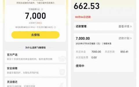 ​​飞猪借款经历分享：征信花也能下款7K​​