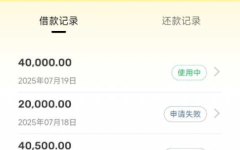 ​​闲鱼舟转金借款体验：额度与审核全解析​​