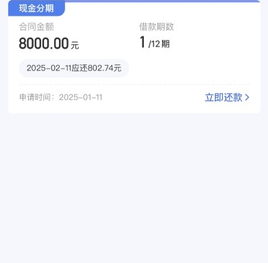 拍拍贷特批额度短信 申请到账情况说明