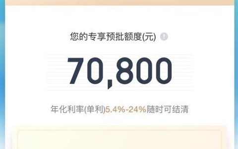 爱奇艺小芽贷征信花能过吗？下款速度及申请情况详解