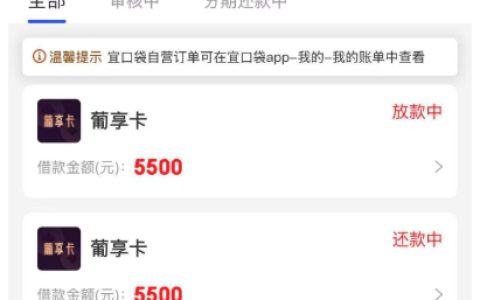 宜口袋里的葡享卡能下款吗？新上线产品实测案例