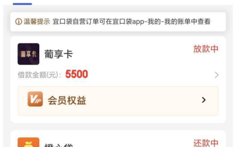 ​​宜口袋葡享卡下款体验：会员提升额度真的有用！​​