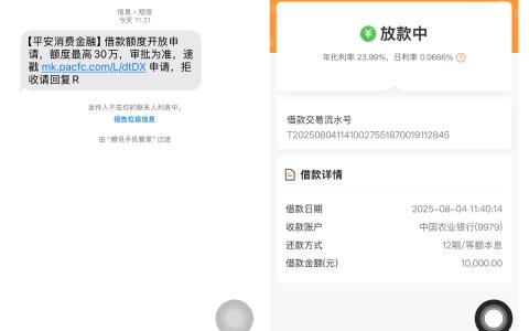 平安消费金融的小橙花好下款吗？审批速度快不快？