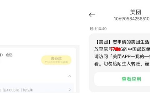 美团生活费借钱被拒后还能再申请吗？下款额度怎么样？