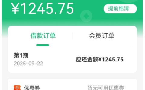 金瀛花容易下款吗？查询记录多也能借到钱？