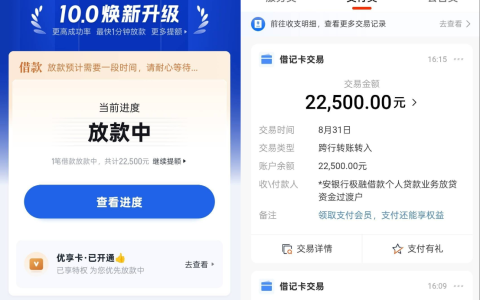 你我贷真能 “逆袭” 下款？征信黑、有代偿也能拿到 22500 元？