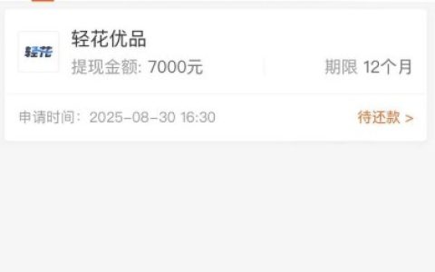 轻花优品显示放款中就稳了？要不要开拼好物拼团提速？