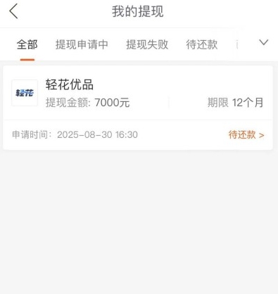 轻花优品显示放款中就稳了？要不要开拼好物拼团提速？