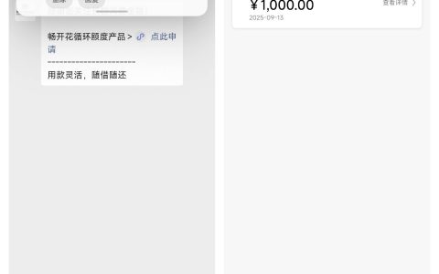 长银消费金融真能冲？有人下 1000 有人秒拒，到底啥资质能过？