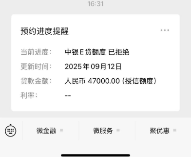 中银 E 贷有 4.7 万额度却被拒：逾期记录成疑，用户盼三月后再试