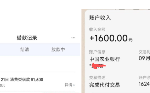 有钱花复借真的稳吗？我提前还款后再申还下款，现在已有五笔在借！