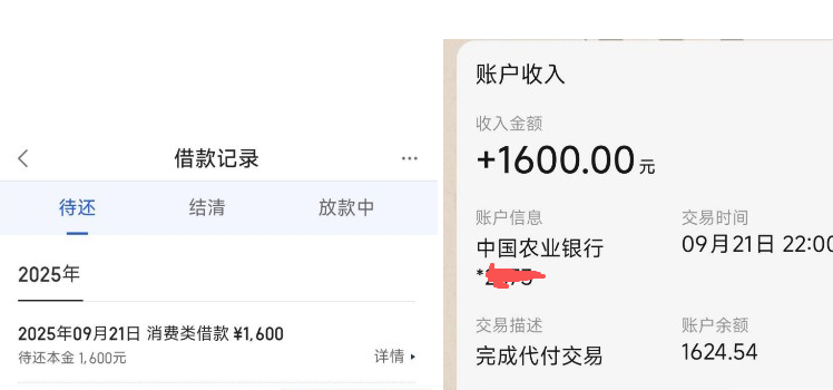 有钱花复借真的稳吗？我提前还款后再申还下款，现在已有五笔在借！